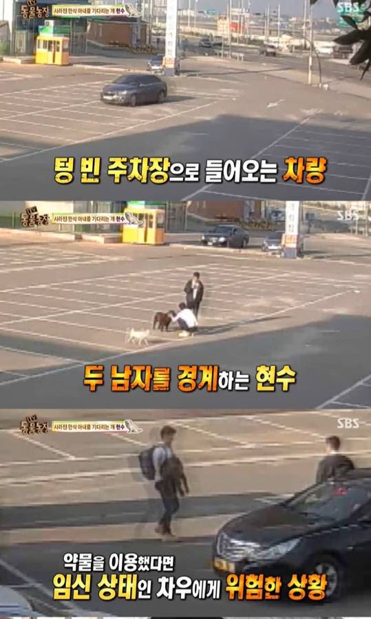 [잡담] 2015년 동물농장 보는데 진짜 충격임... (긴글) | 인스티즈