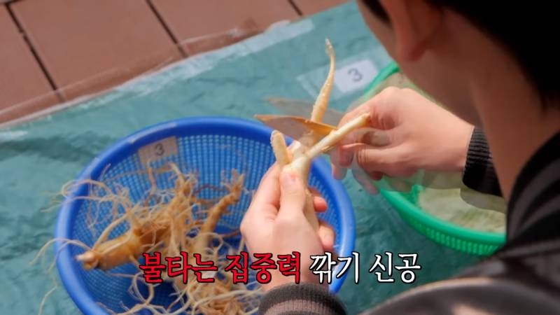 사람들이 잘모르는 이색대회 휩쓸고 다녔던 아이돌 (with.김용명) | 인스티즈
