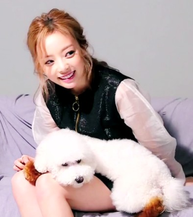 [정보/소식] 카라 故구하라가 키우던 강아지 팡이 무지개 다리 건너.jpg | 인스티즈