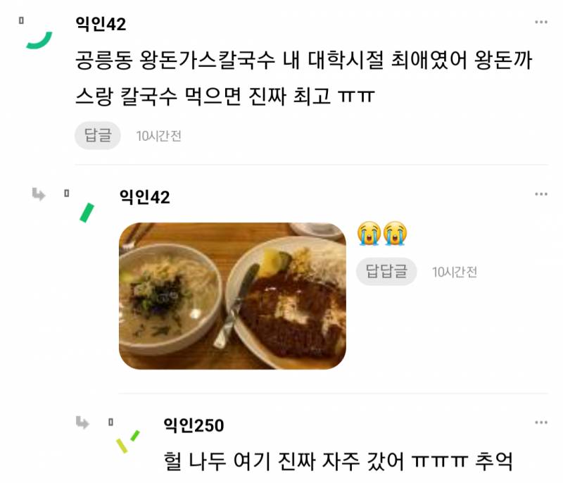 난 오늘도 이런 돈까스를 찾아 헤맨다...JPG | 인스티즈
