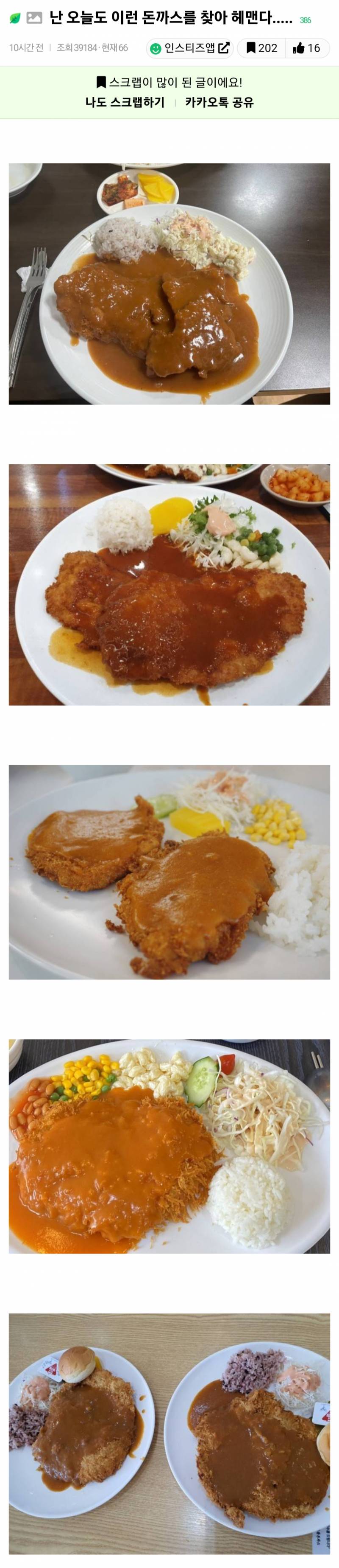 난 오늘도 이런 돈까스를 찾아 헤맨다...JPG | 인스티즈