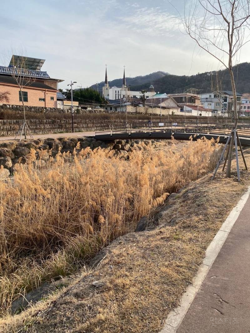 어느 지방도시의 구도심 모습........jpg | 인스티즈