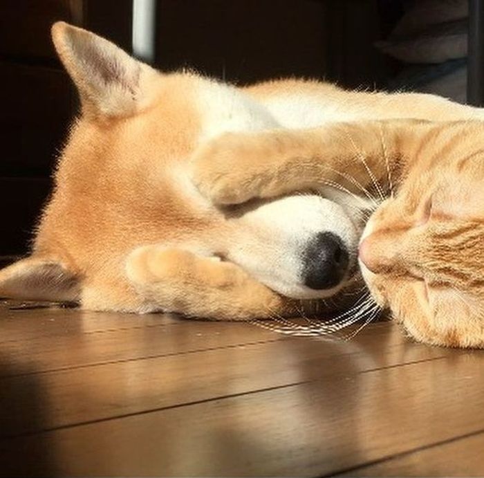 [OnAir] ... 나 진짜 못 보겠다.... 여기 중계로 상황 볼란다..... | 인스티즈