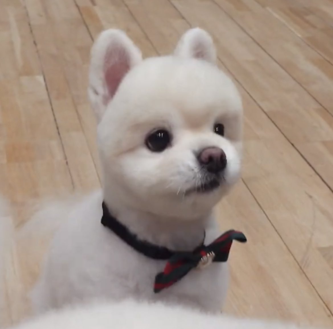 [잡담] 요즘 내 힐링 | 인스티즈