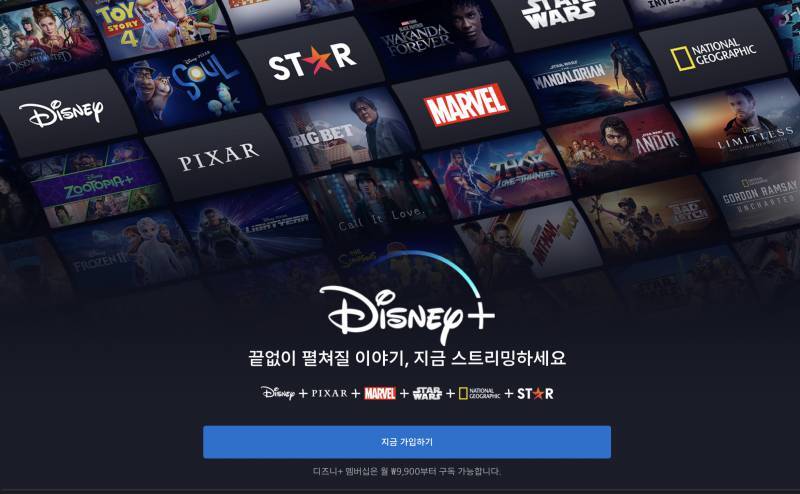 디즈니플러스) 한달팟 한분 구해요 | 인스티즈