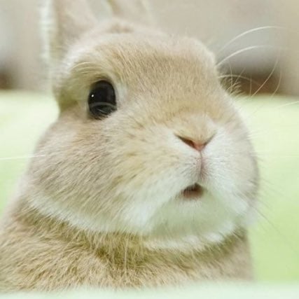 [잡담] ㄹㅇ 투바투 수빈 닮은꼴 짤은 이 두 개가 탑인거 같음 | 인스티즈