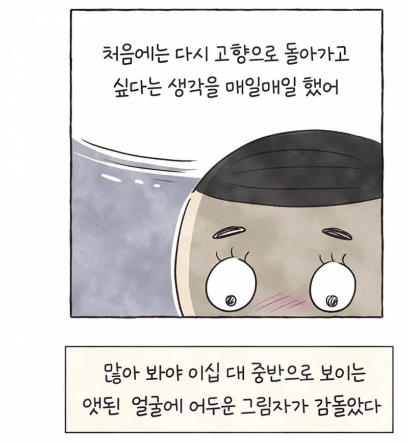 현재 국제결혼의 현실을 그렸다고 말나오는 웹툰.JPG | 인스티즈