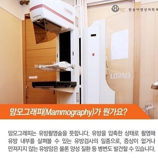 유방암 검사하는 법 | 인스티즈