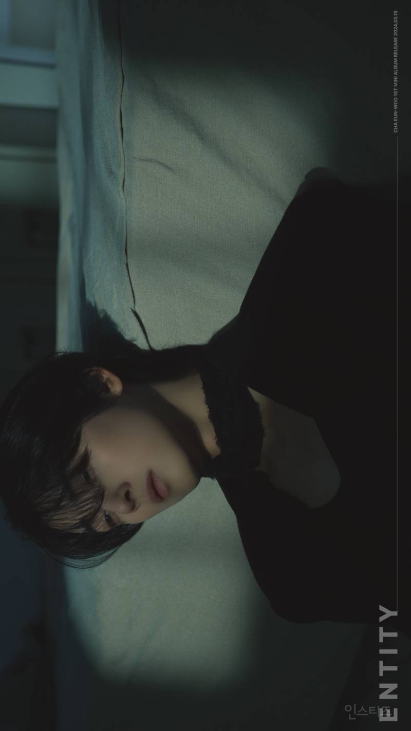 스케일 단단히 돌아버린 차은우 솔로 앨범 티저.jpg | 인스티즈