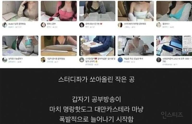 노출하면서 공부 방송하는 방송이 많아지고있음.JPG | 인스티즈