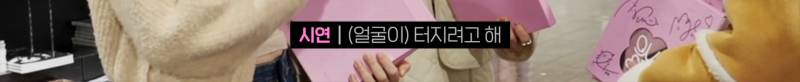 일본 타워레코드에서 앨범 무료료 주는 QWER | 인스티즈