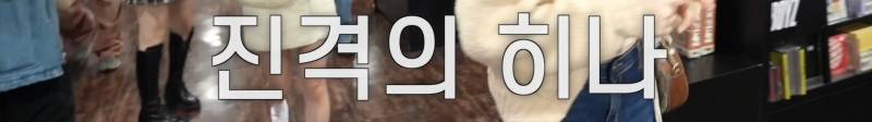 일본 타워레코드에서 앨범 무료료 주는 QWER | 인스티즈