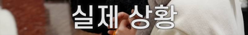 일본 타워레코드에서 앨범 무료료 주는 QWER | 인스티즈