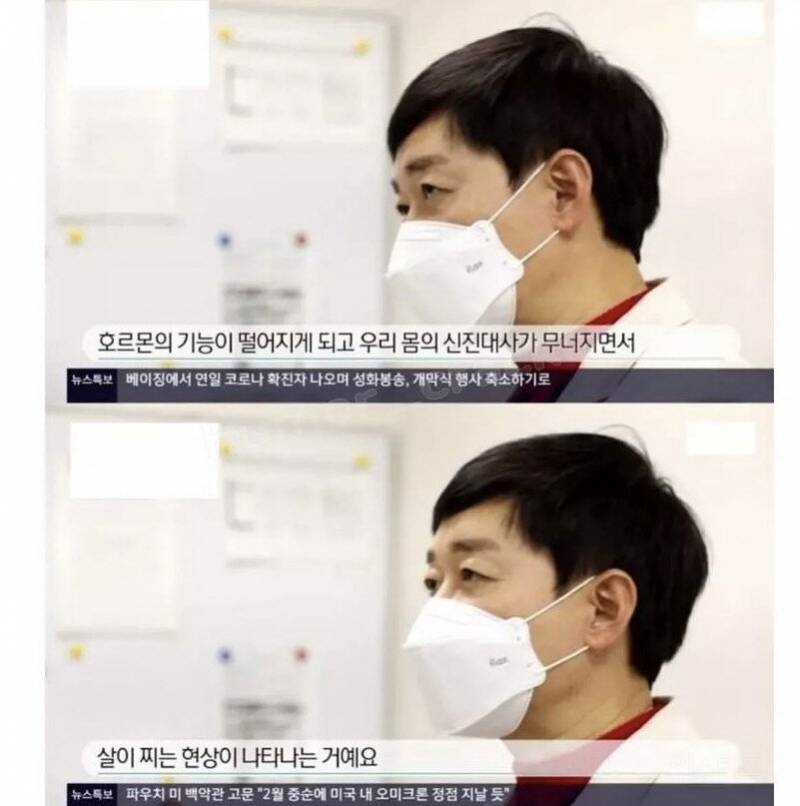 현대인이 살찌는 이유 | 인스티즈