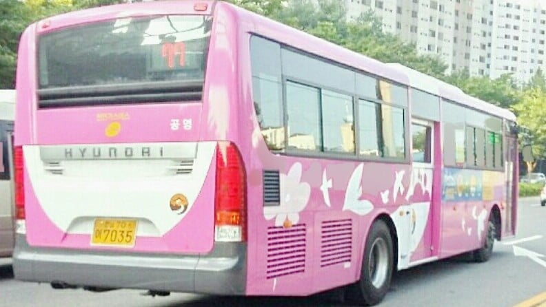 전남 동부지역의 배차간격 짧음류 甲.jpg | 인스티즈