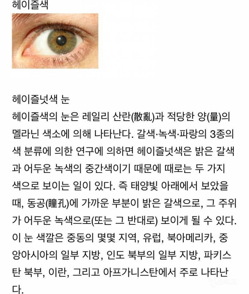 한국에 몇 없는 '헤이즐색 눈' 을 가진 연예인 세명 | 인스티즈