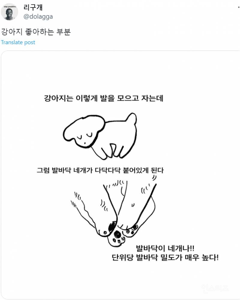 개 키우는 사람만 안다는 의외의 매력포인트.jpg | 인스티즈