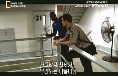 범죄 저질러서 6년다닌 회사 짤릴것 같다는 사람 | 인스티즈