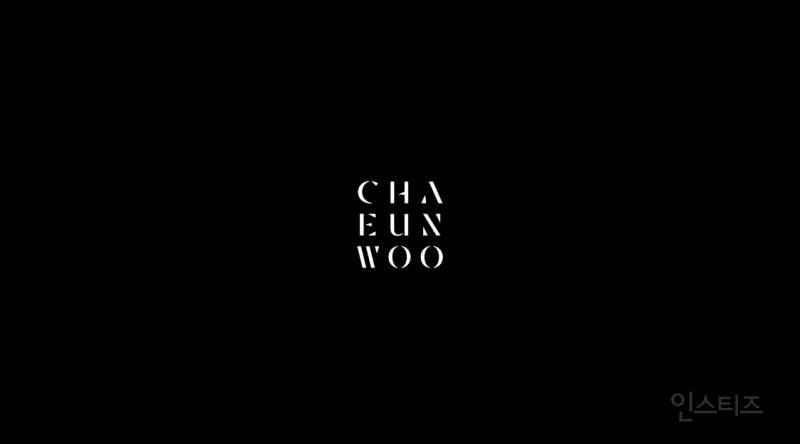 차은우 차에서 몰래 비밀 데이트 하는 느낌 나는 짤.jpgif | 인스티즈