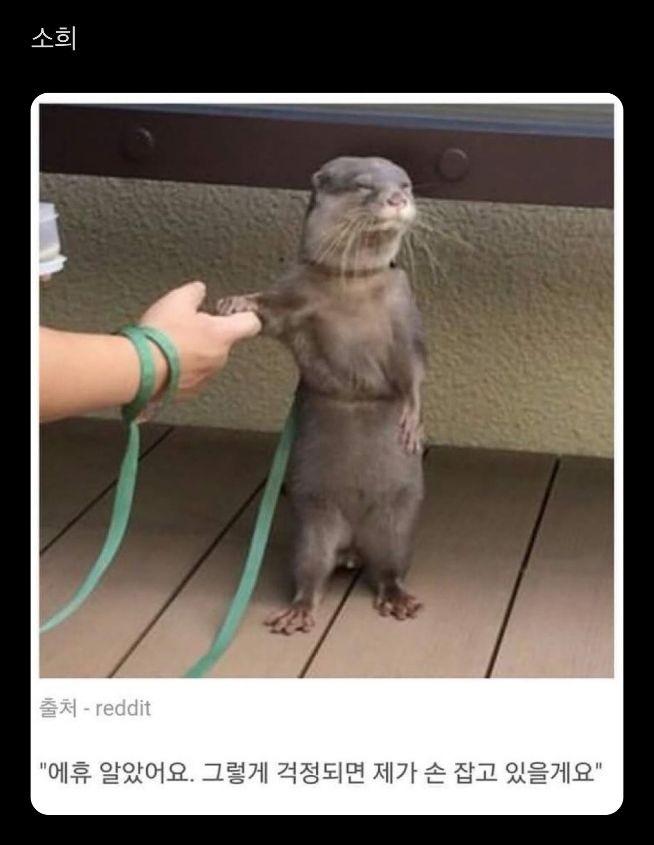 [잡담] 앜ㅋㅋㅋㅋㅋㅋㅋㅋ이거 이소희래ㅋㅋㅋㅋㅋㅋㅋㅋㅋ | 인스티즈