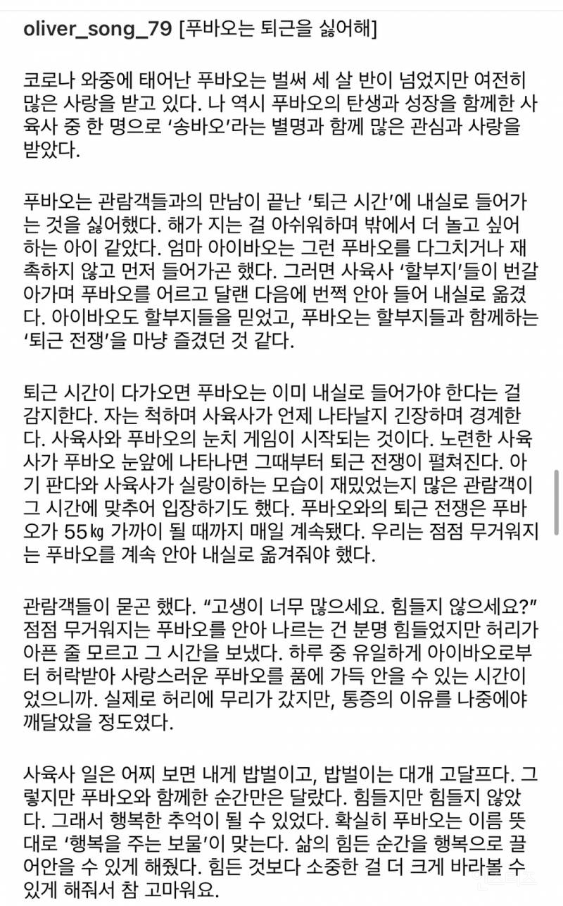 푸바오팬들 오열중이라는 어제자 송바오 모습 | 인스티즈