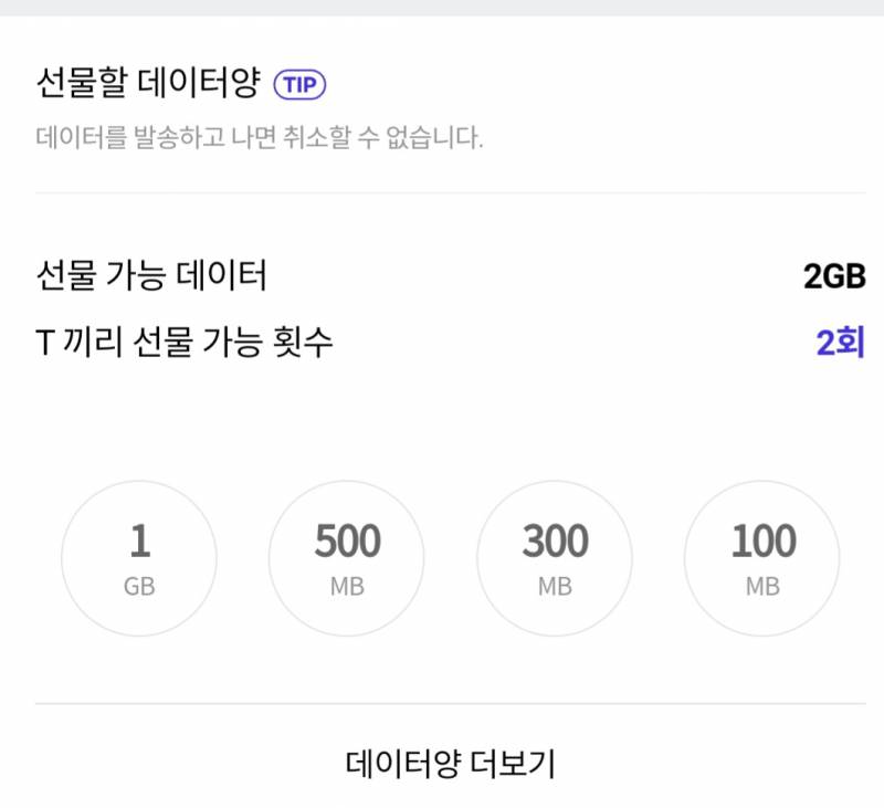 SKT 데이터 판매 2GB | 인스티즈