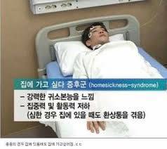 [잡담] 집에가고싶다증후군 | 인스티즈