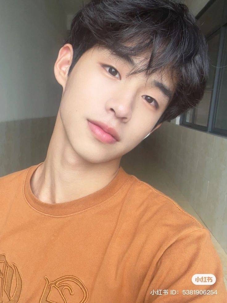 [잡담] 나 이런상 남자 좋아하는데 이게 두부상이야? | 인스티즈