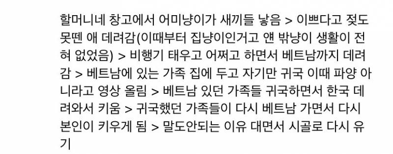 [잡담] 한 유튜버가 올린 고양이 유기 영상 한번씩 신고해줘 | 인스티즈