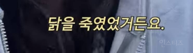 4년 키운 고양이 유기하면서 광고 영상 올리는 유튜버 | 인스티즈
