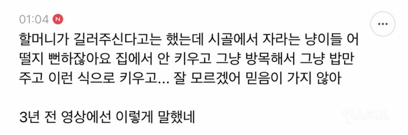 4년 키운 고양이 유기하면서 광고 영상 올리는 유튜버 | 인스티즈