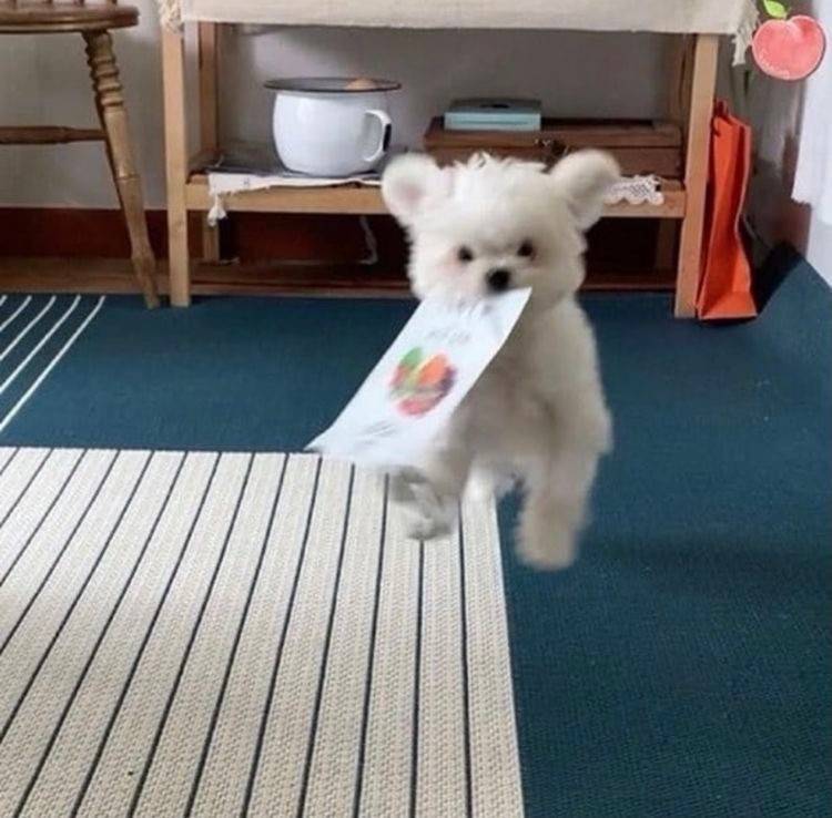 크보카드교환! | 인스티즈