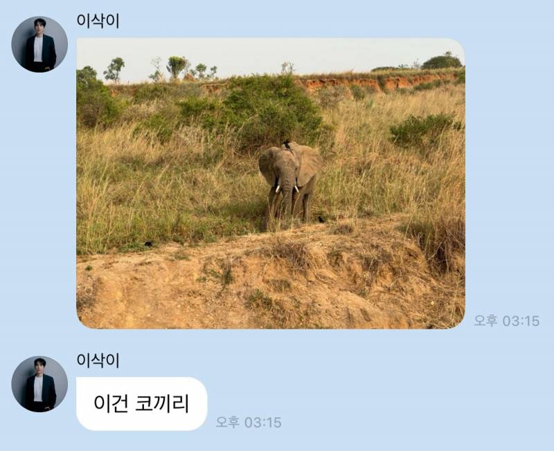 우간다 바이럴 의심받은 가수 홍이삭 버블 | 인스티즈