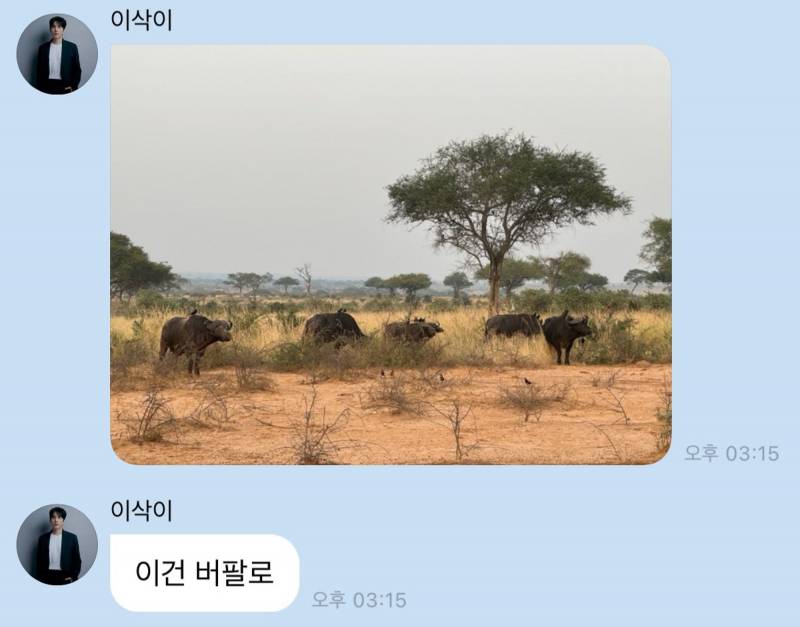 우간다 바이럴 의심받은 가수 홍이삭 버블 | 인스티즈