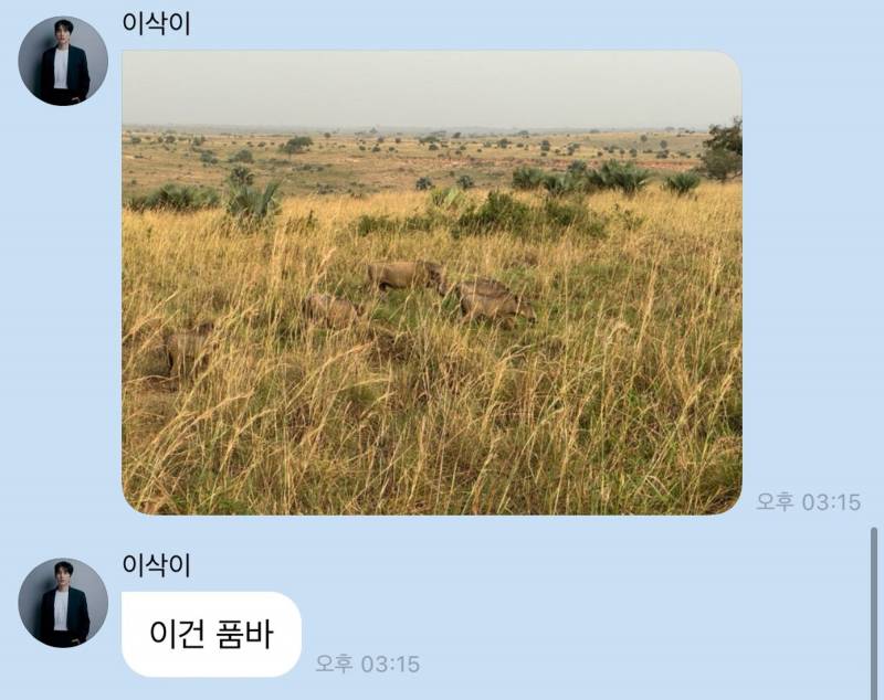 우간다 바이럴 의심받은 가수 홍이삭 버블 | 인스티즈