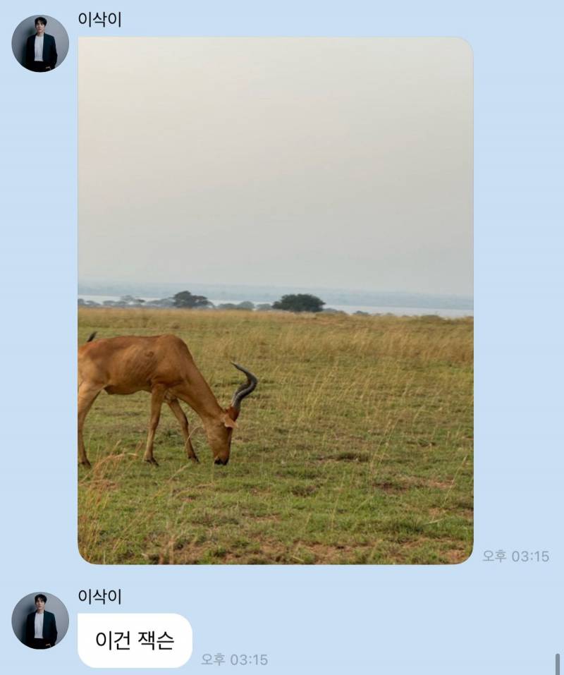 우간다 바이럴 의심받은 가수 홍이삭 버블 | 인스티즈