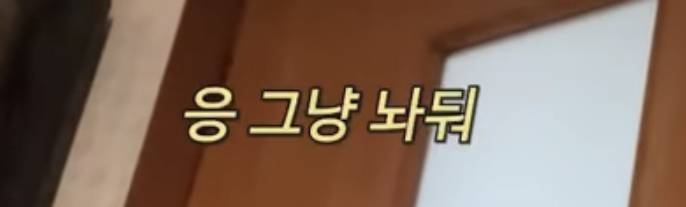 [잡담] 유튜버 디씨즈마테 키우던 고양이 시골에 버리고온거 같이 신고해주라 | 인스티즈