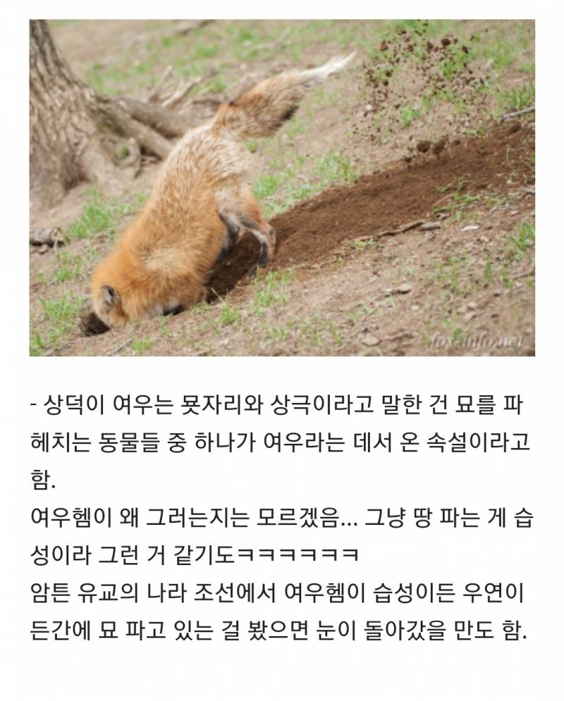 [잡담] 파묘 해석 모음집 스압 (대왕 스포주의 ㅅㅍㅈㅇ) | 인스티즈
