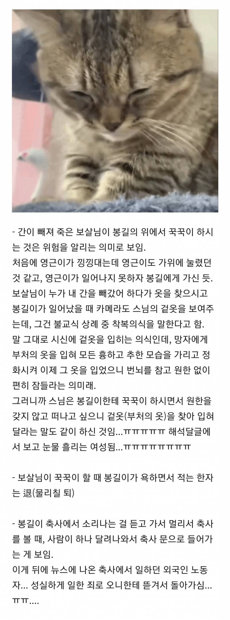 [잡담] 파묘 해석 모음집 스압 (대왕 스포주의 ㅅㅍㅈㅇ) | 인스티즈