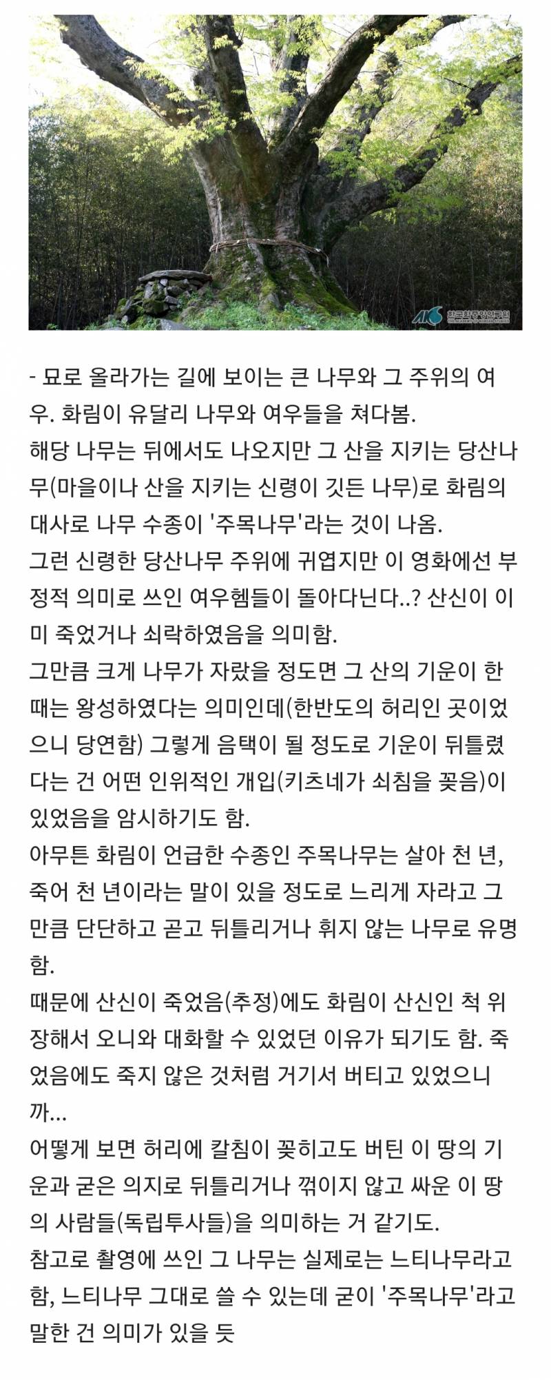[잡담] 파묘 해석 모음집 스압 (대왕 스포주의 ㅅㅍㅈㅇ) | 인스티즈