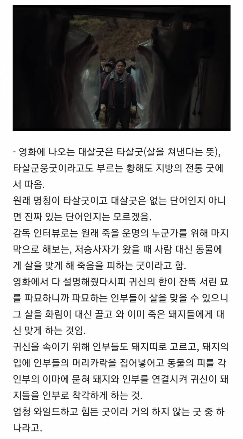 [잡담] 파묘 해석 모음집 스압 (대왕 스포주의 ㅅㅍㅈㅇ) | 인스티즈