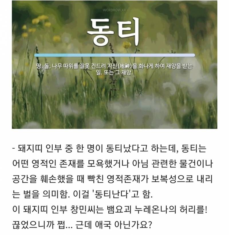 [잡담] 파묘 해석 모음집 스압 (대왕 스포주의 ㅅㅍㅈㅇ) | 인스티즈
