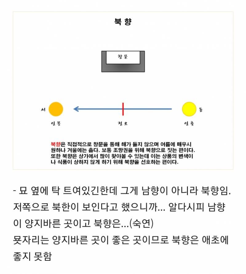 [잡담] 파묘 해석 모음집 스압 (대왕 스포주의 ㅅㅍㅈㅇ) | 인스티즈