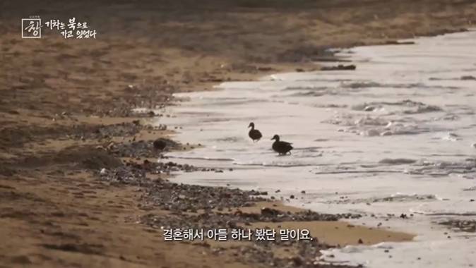아오지탄광에서 53년을 보낸 국군포로 할아버지 | 인스티즈