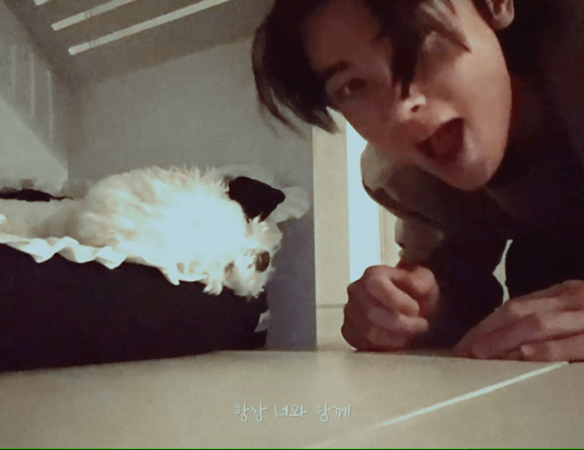 개부럽다는 말은 이럴 때 쓰이는 것 같은 움짤 .gif | 인스티즈
