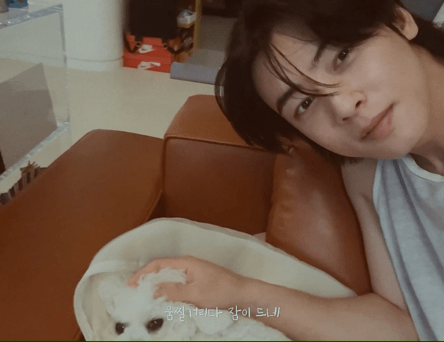 개부럽다는 말은 이럴 때 쓰이는 것 같은 움짤 .gif | 인스티즈
