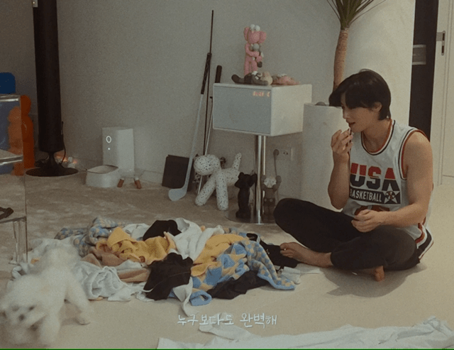 개부럽다는 말은 이럴 때 쓰이는 것 같은 움짤 .gif | 인스티즈
