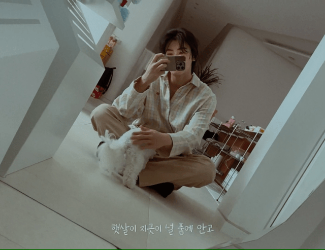 개부럽다는 말은 이럴 때 쓰이는 것 같은 움짤 .gif | 인스티즈