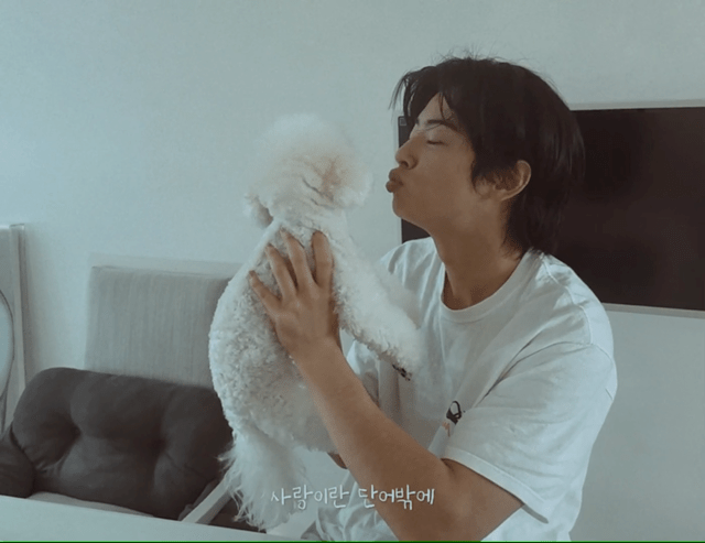 개부럽다는 말은 이럴 때 쓰이는 것 같은 움짤 .gif | 인스티즈