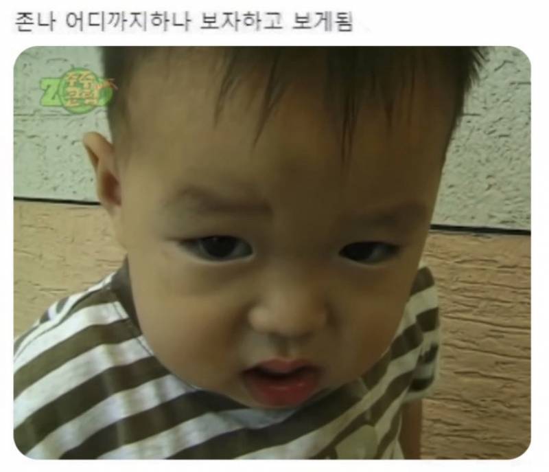 [잡담] 어디까지 하나 하고 보게 됨. | 인스티즈